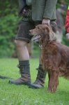 Hundepräsentation 2019